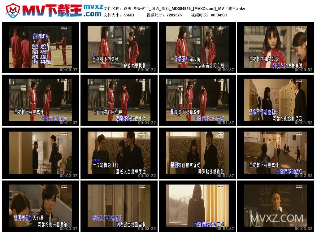 路勇-菩提树下_国语_流行_MD304816